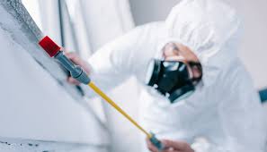 Best Commercial Pest Control  in Union City, OH